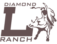 Diamond L Ranch SF